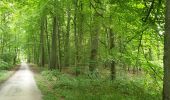 Trail Walking Sint-Genesius-Rode - 2020-09-01 - Forêt de Soignes- Rhode Saint Genève  - Photo 11