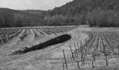 Randonnée Marche Cabasse - Cabasse - Trou des Fées - ND Glaive - La Gastée - Photo 10