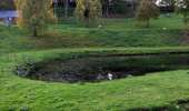 Trail Walking Lierneux - Promenade vers la réserve naturelle de Colanhan (8km)  - Photo 11