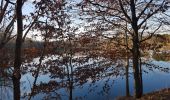Trail Walking Lamagistère - Coupet retenue canal lac bleu - Photo 1