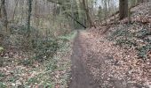 Trail Walking Diest - Diest 30,1 km - Photo 4