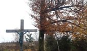 Trail Walking Theux - autour de bronromme et monthouet  - Photo 13