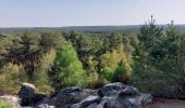 Trail Walking Fontainebleau - Fontainebleau Sentier Denecourt N°10 - Photo 16
