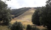 Tour Nordic Walking Chamaloc - Col de Chironne, but de l'Aiglette - Photo 3