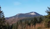 Tocht Stappen Schirmeck - Montagne sacrée du Donon depuis Schirmeck - Photo 3