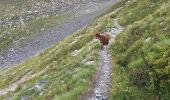 Trail Walking Séez - L’ouïe blanche - lac retour - chatelard - Photo 10