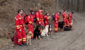 Percorso A piedi Laab im Walde - Laab im Walde - Breitenfurt - Ramaseck - Photo 8