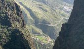 Tour Wandern Tejeda - Cuevas del Caballero (Gran Canaria) - Photo 20