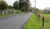 Trail On foot Roscommon Municipal District - Clogher - Photo 4