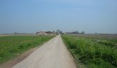 Tocht Te voet Hoeksche Waard - Gele wandelroute - Photo 10