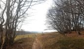 Tour Wandern Woll - mon sentier des névés : hohneck . kastelbergwasen . firstmiss . breitsouze . Le hohneck  - Photo 6