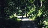 Tour Zu Fuß Unbekannt - Rundwanderweg Parkplatz Goldsteintal: Birkenblatt - Photo 8