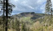 Trail Walking Cornimont - Col du Brabant - croix Louis par Mansuy et Boulaite - Photo 1