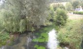 Tour Wandern Elbeuf-sur-Andelle - 20220823-Elbeuf sur Andelle  - Photo 20