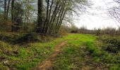 Tour Wandern Rethondes - en forêt de Laigue_1_le Grand Octogone - Photo 20