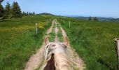 Trail Horseback riding Mollkirch - 2023-05-28 Picnic CVA Cabane des 5 routes - Photo 3