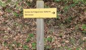 Randonnée Marche Vernet-les-Bains - Sahorre dolmen - Photo 13