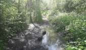 Trail Walking Mons - Cuesmes - Héribus - Photo 1