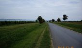 Trail On foot Gyugy - S (Balatonlelle - Gyugy) - Photo 1