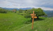 Trail Walking Beuil - Les Cluots par les Gorges du Cians supérieur - Photo 3