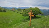 Tocht Stappen Beuil - Les Cluots par les Gorges du Cians supérieur - Photo 3