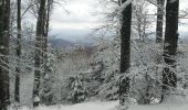 Randonnée Raquettes à neige Sewen - SewenWissgrutFennmatt - Photo 12