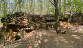 Tour Wandern Aarschot - Gelrode -Arschot - Photo 13