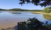 Tocht Stappen Chenonceaux - etang des jumeaux  - Photo 2