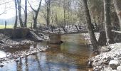 Randonnée Marche Theux - neufmarteau . trou colas . royonpré . neufmarteau  - Photo 4