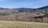 Tour Wandern Bliensbach - 2020-02-15 Marche Blancherupt Perheux - Photo 5