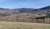 Tour Wandern Bliensbach - 2020-02-15 Marche Blancherupt Perheux - Photo 5