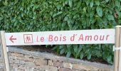 Tour Wandern Pont-Aven - le bois d'Amour - Photo 5