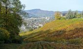 Tocht Stappen Saint-Alban-Leysse - St-Alban-Monterminod-1 - Photo 4