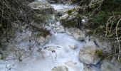 Excursión Senderismo Rémuzat - le mont rond - Photo 8