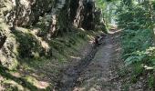 Tour Wandern Trooz - A la découverte de Nessonveaux 🥾 - Photo 9