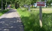 Randonnée A pied Hellendoorn - WNW Twente - Wierdenseveld - paarse route - Photo 1
