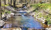 Excursión Senderismo Chimay - Promenade de l’eau blanche  - Photo 2