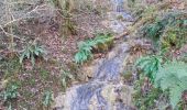 Randonnée Marche Pont-en-Royans - Grotte Balme Rousse - Photo 1