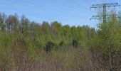 Percorso A piedi Zossen - Rundwanderweg um den Großen und kleinen Zeschsee - Photo 3