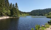 Excursión Senderismo La Bresse - lacs et tourbières de Tenine et Lispach  - Photo 1