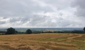 Trail Walking Beauraing - rando sevry  26/08/2021 - Photo 5