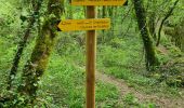 Trail Walking Lissac-sur-Couze - lac de causse - Photo 18