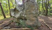 Excursión Senderismo Maisse - Maisse - Forêt communale de Milly-la-Forêt - Photo 2