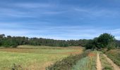 Trail Walking Rognes - Rognes virée dans les vignes sur le sentier des vignerons - Photo 3