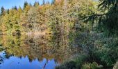 Excursión Senderismo Écromagny - Les 1000 étangs à Ecromagny - Photo 9