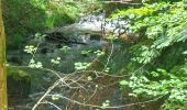 Tour Wandern Walscheid - Elsassblick,Refuge des Bûcherons, Altmatt,M.F. du Grossmann  - Photo 2