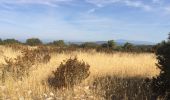 Tocht Stappen Robion - Robion les taillades rochers de baude  - Photo 15