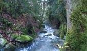 Tocht Stappen Die - Le Glandasse (Abbaye-Comptoir à moutons-Fauchard-Abbaye) - Photo 8