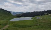 Excursión Senderismo Arâches-la-Frasse - Les crêtes des Carroz, l'Airon - Photo 12