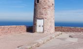 Randonnée Marche Plévenon - BOUCLE DEPUIS PLENEVON AVEC CAP FREHEL ET FORT LA LATTE - Photo 14